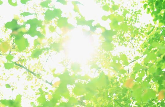 横須賀で排水管のつまりならRECREATEまで